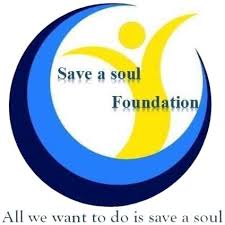 SAS Foundation logo